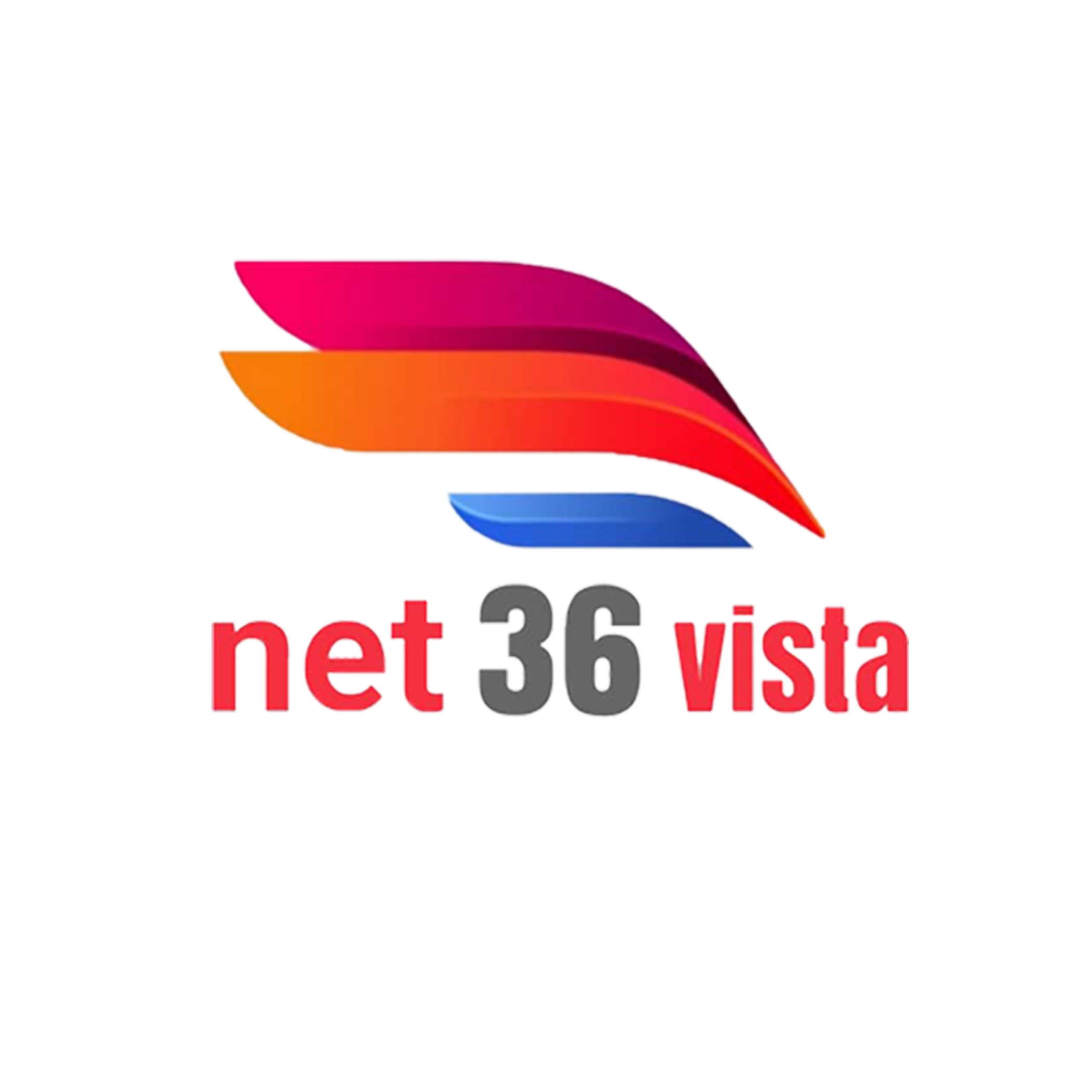 net 36 vista logo new 1